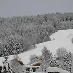 Ski-in Ski-out Kriekels - By Alpen *