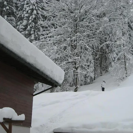 Ski-in Ski-out Kriekels - By Alpen Dom wakacyjny