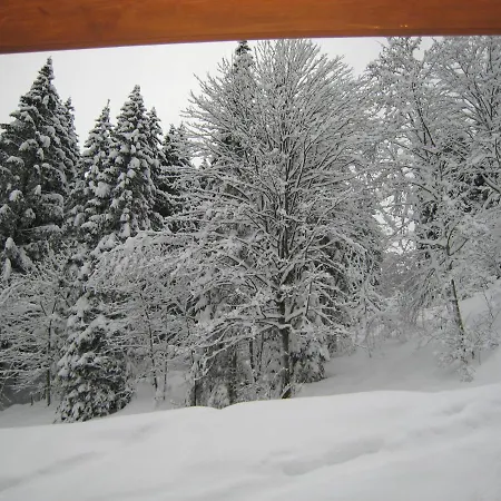 Ski-in Ski-out Kriekels - By Alpen Dom wakacyjny *