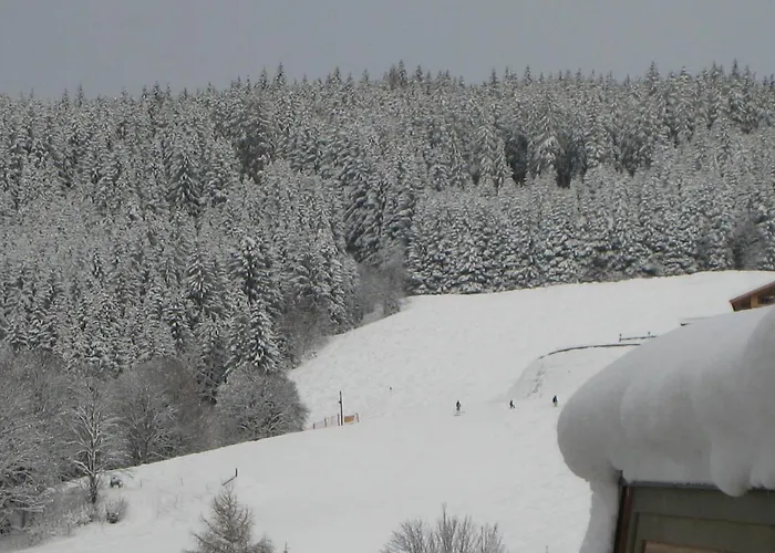 Ski-in Ski-out Kriekels - By Alpen * צל-אם-זי